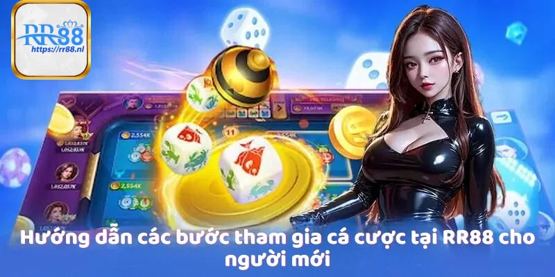 Hướng dẫn các bước tham gia cá cược tại RR88 cho người mới